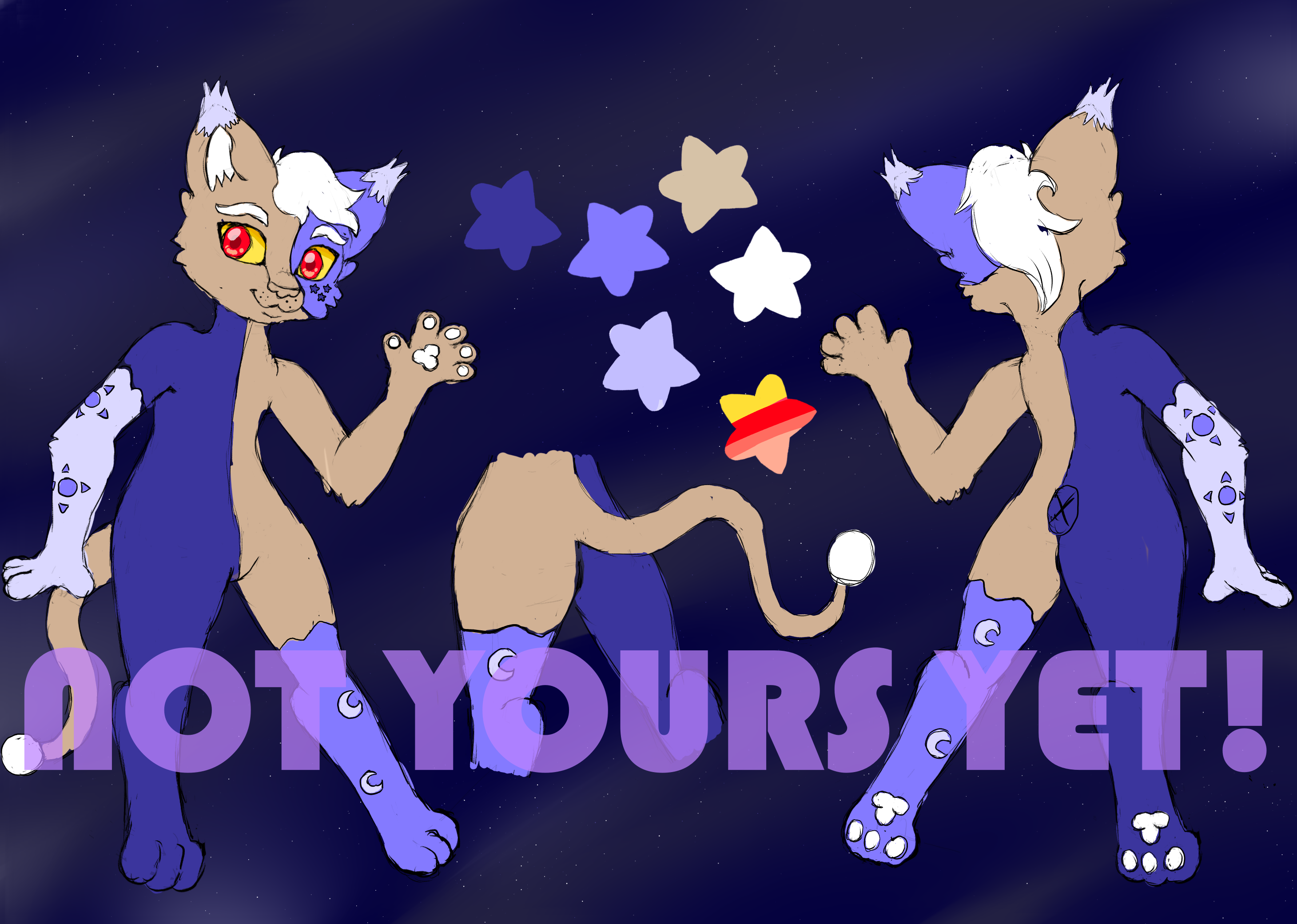 section-showcase-headshot